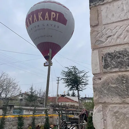 Проживание в семье Zeppelin Cappadocia *